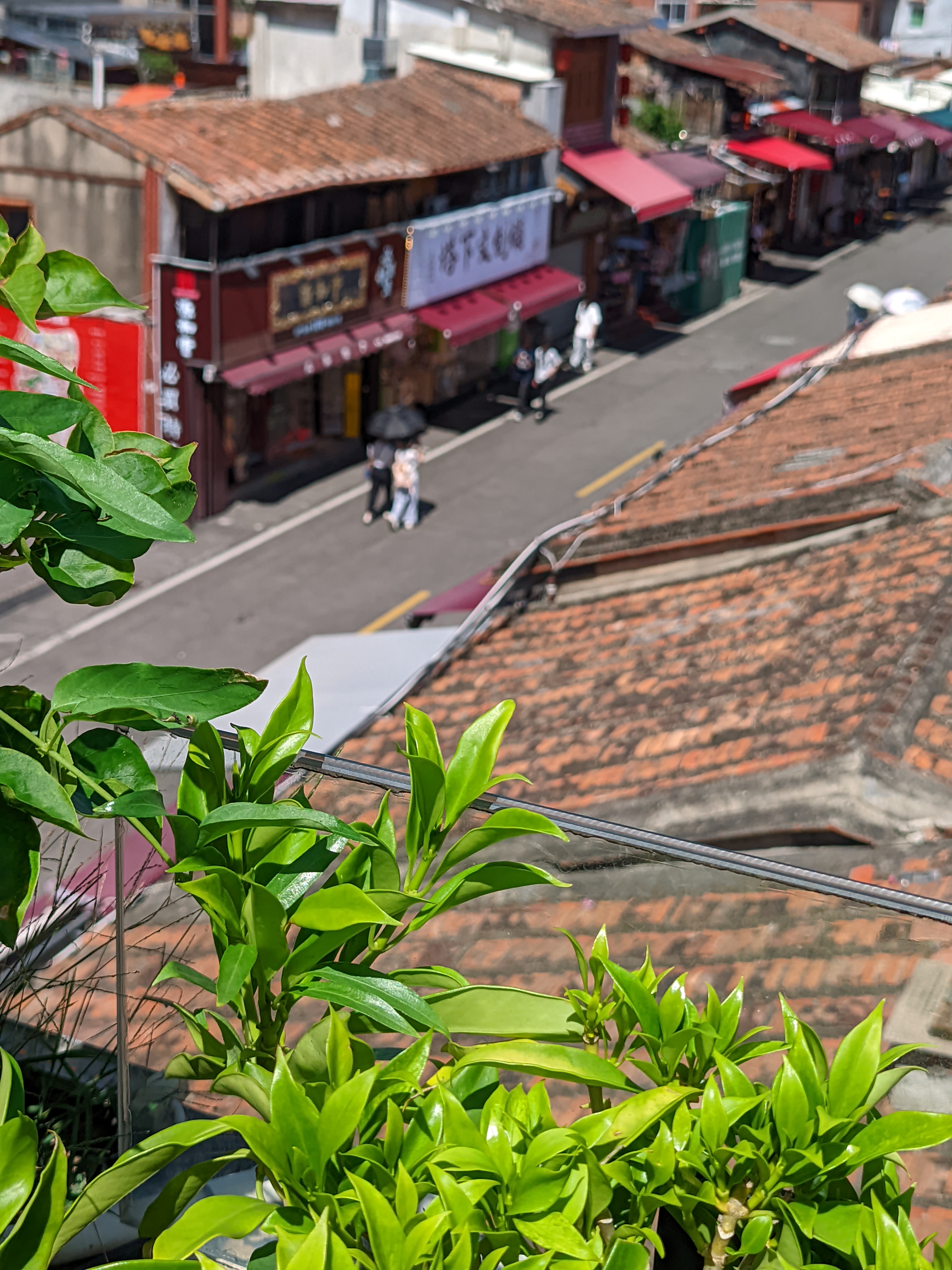 泉州这边的旅客中心不错 这个一层服务二层咖啡馆三层天台对外开放 是一个和双塔合影很好的机位