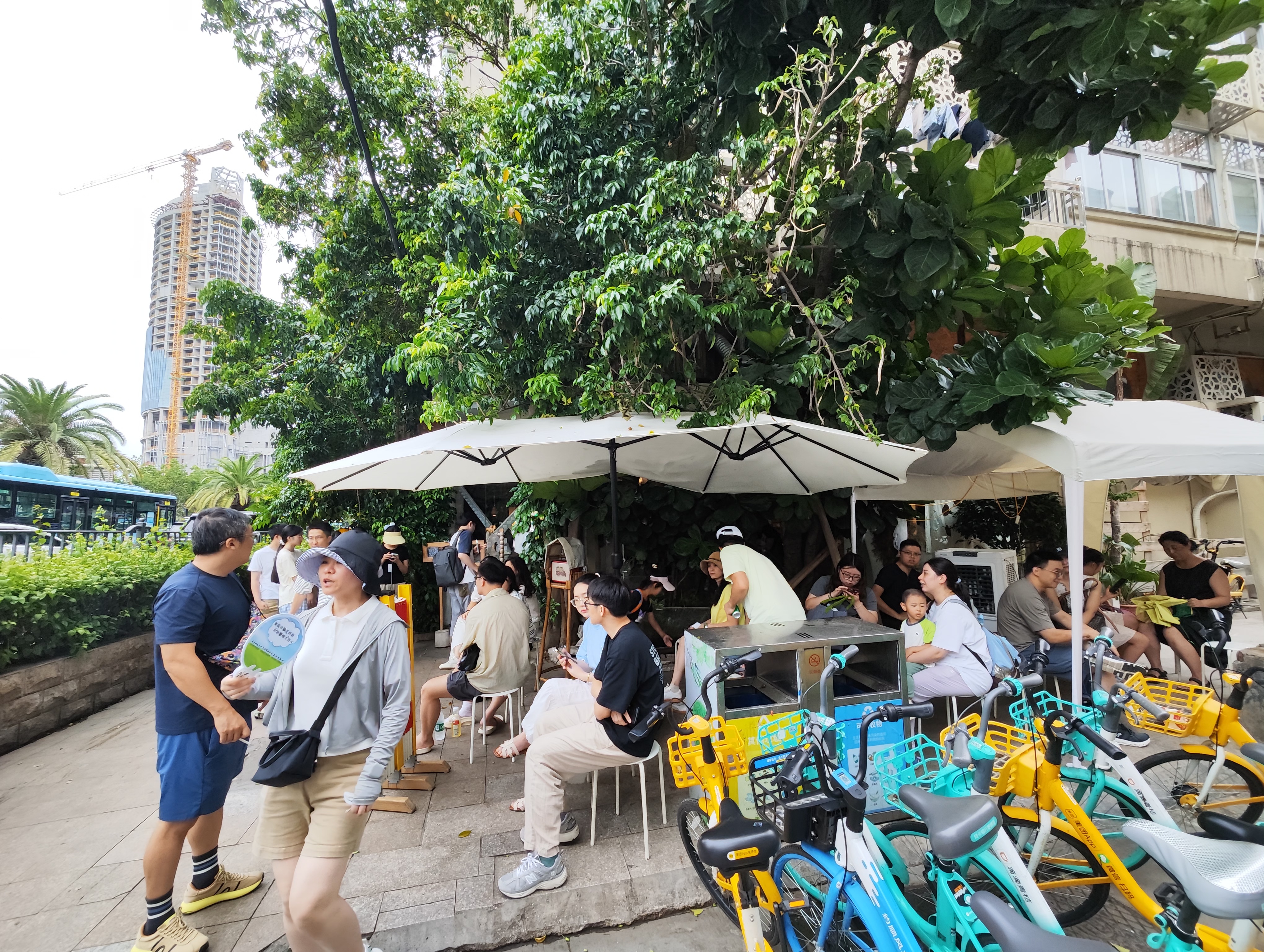 野草莓自由市场