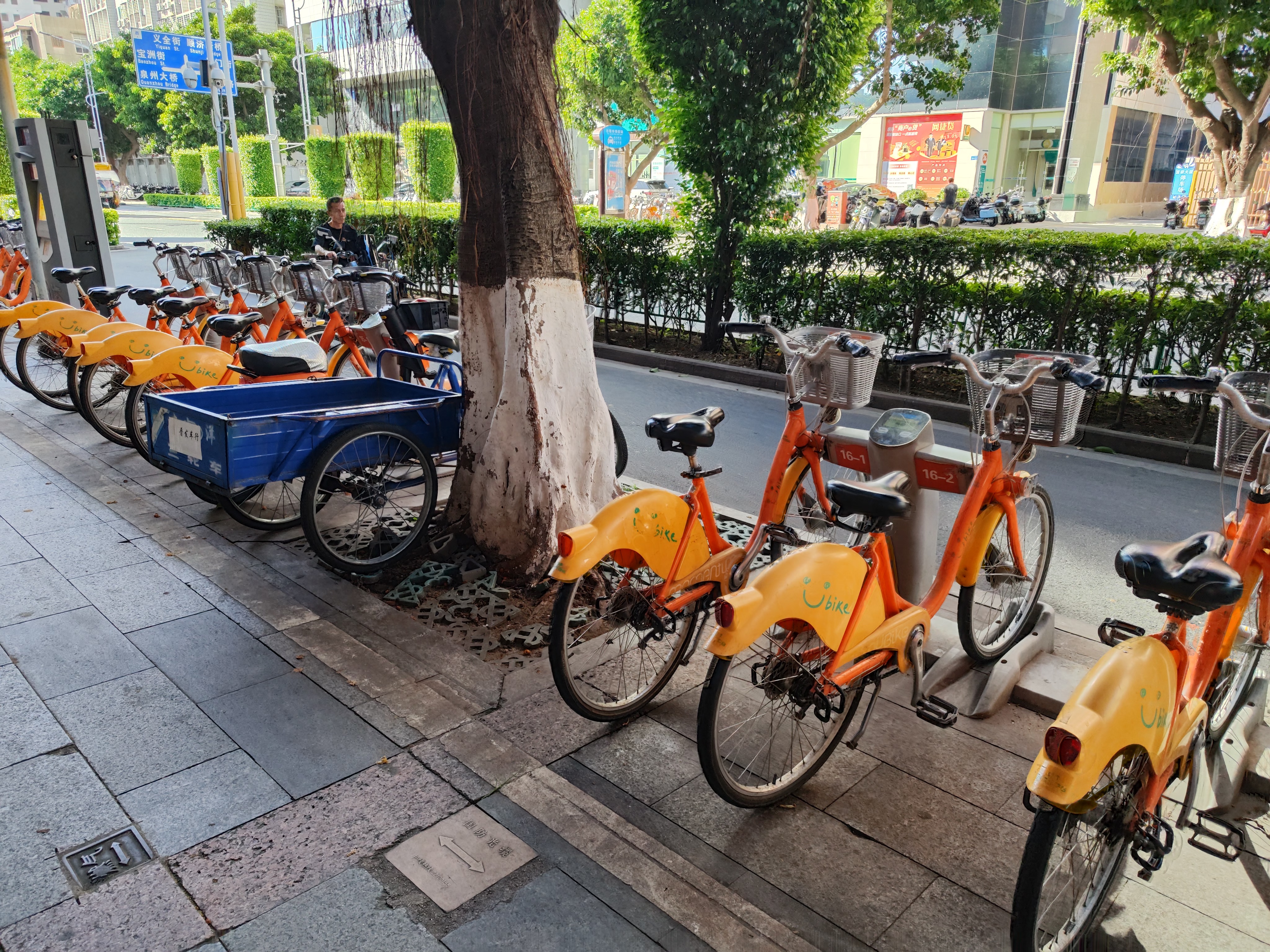 泉州引进的台湾的ubike 据说现在单车是免费的 只是我们没机会骑（悲