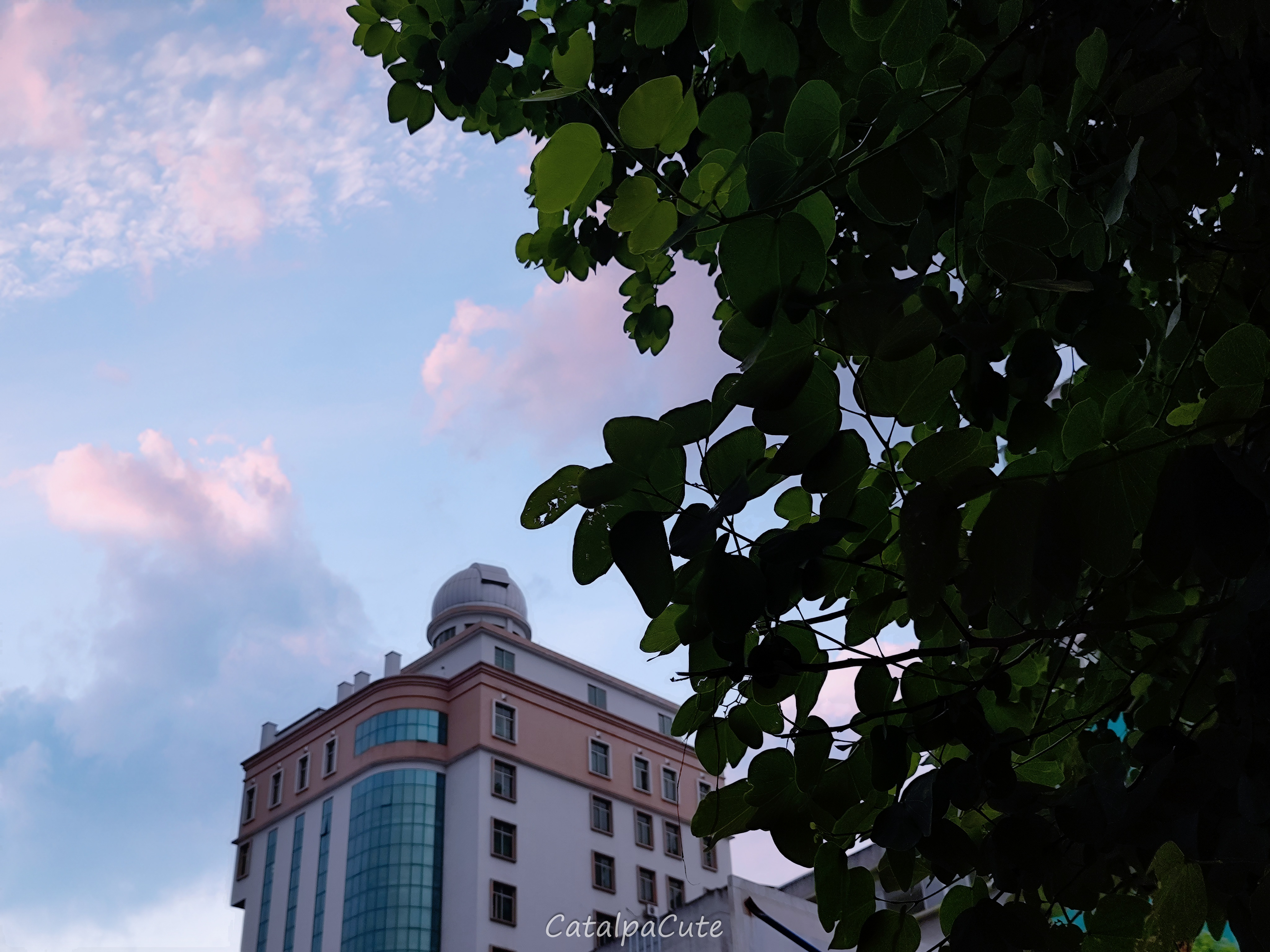 【Pin】资源收集帖