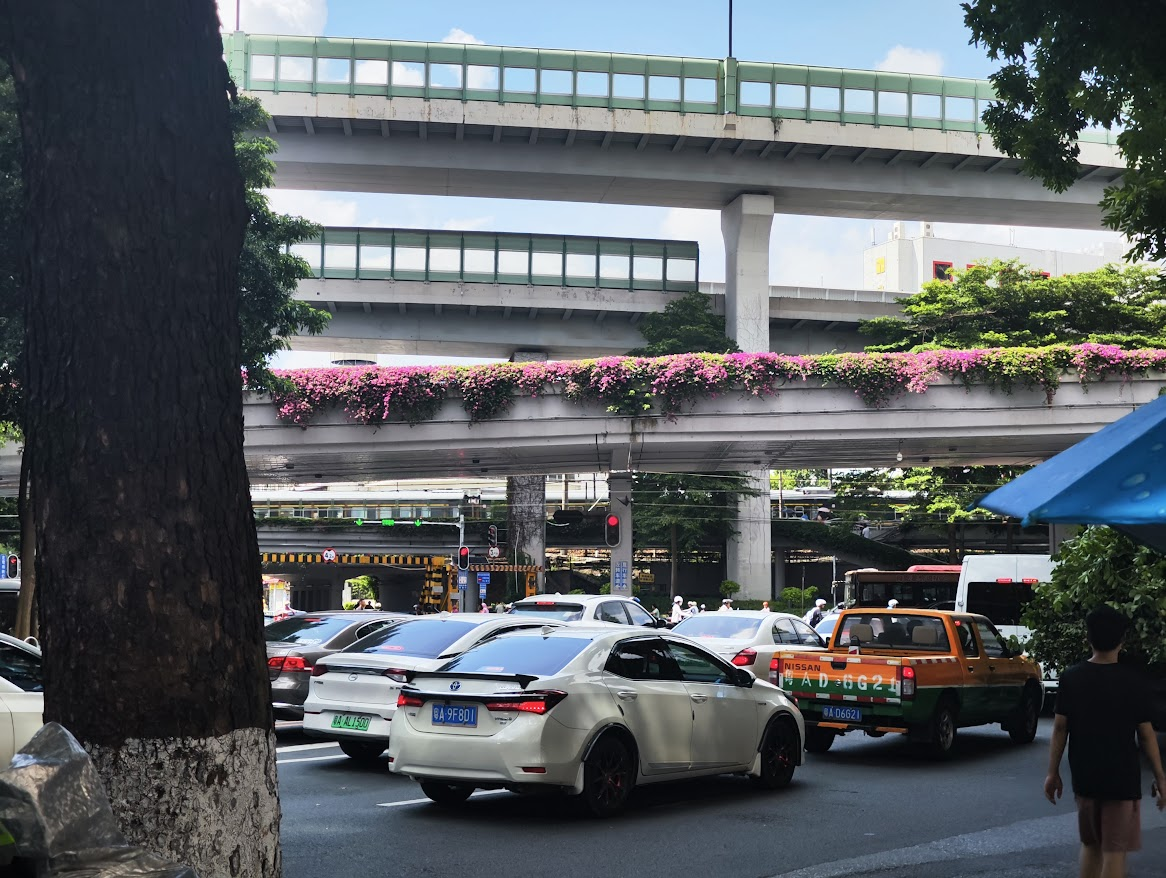 这边的绿化也有点味道了